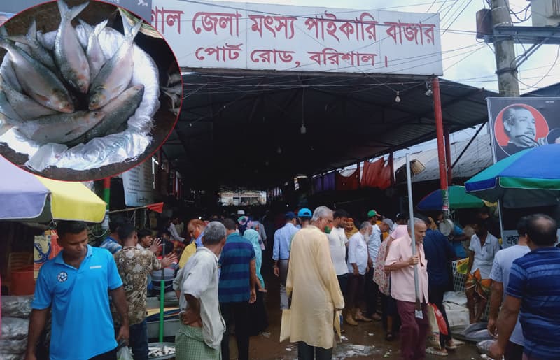 নিষেধাজ্ঞার পূর্বে বরিশালে ইলিশের আকাল, দাম চড়া