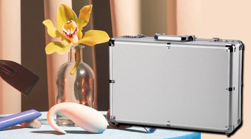 স্যুটকেস ঘিরে বোমাতঙ্ক, উদ্ধার হল সেক্স টয়!