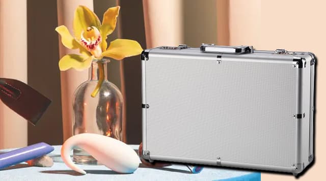 স্যুটকেস ঘিরে বোমাতঙ্ক, উদ্ধার হল সেক্স টয়!