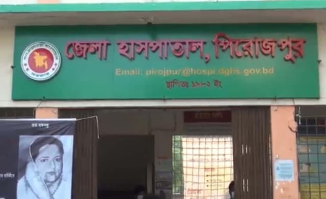 পিরোজপুরে ভাতিজার হাতে চাচা খুন