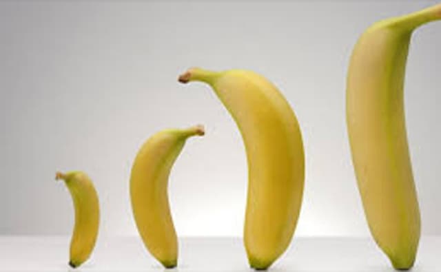 যেমন পুরুষাঙ্গ পছন্দ করে মেয়েরা! চিকিৎসা বিজ্ঞানীদের মত