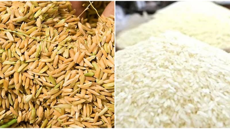 ধান-চালের দাম নির্ধারণ করেছে সরকার