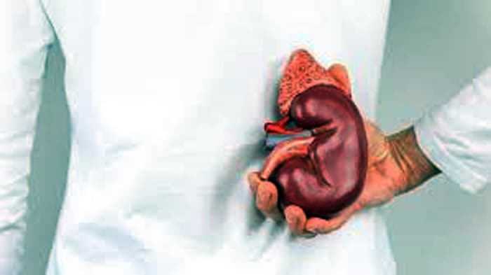 ফেসবুকে কিডনি বিক্রি, ৫ প্রতারক গ্রেফতার