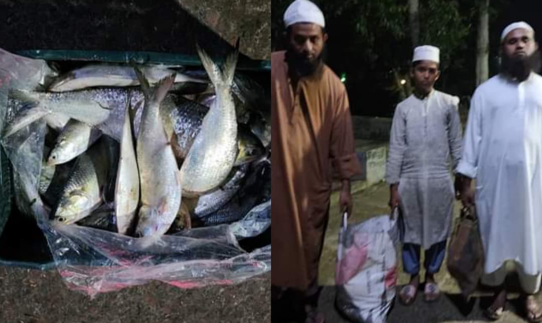 ফাঁদ পেতে ইলিশসহ ক্রেতাকে আটক, অতঃপর জরিমানা