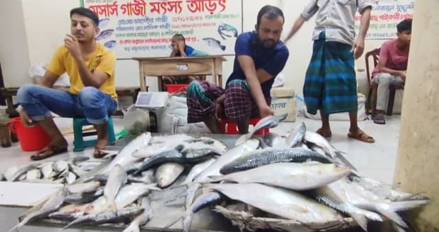 অবরোধের শেষ মুহূর্তে কলাপাড়ায় মাইকিং করে ইলিশ বিক্রি