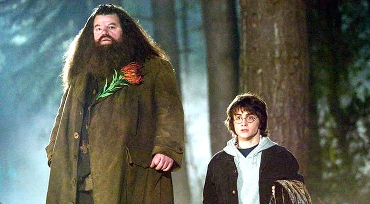 মারা গেছেন হ্যারি পটারের হ্যাগ্রিড