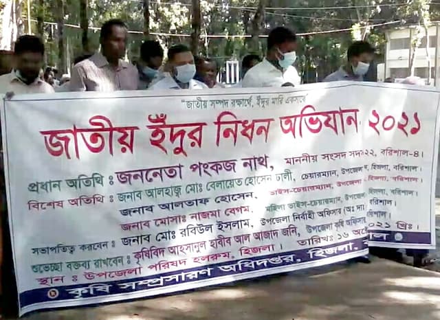 হিজলায় জাতীয় ইঁদুর নিধন অভিযান পালিত