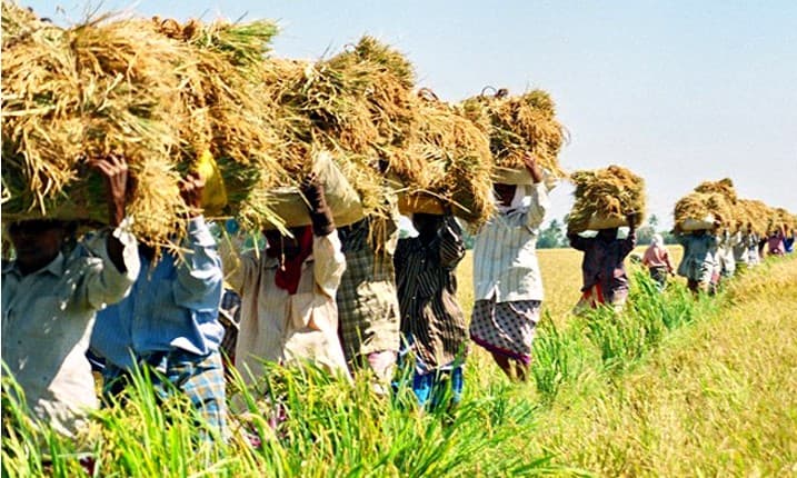 বিশ্ব খাদ্য দিবস আজ