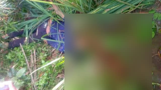 রুহিয়ায় বাঁশঝাড়ে পড়েছিল অটো চালকের মরদেহ