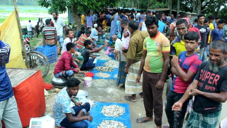 বাঁধে মাছ ধরার উৎসব হাজার মানুষের মেলা