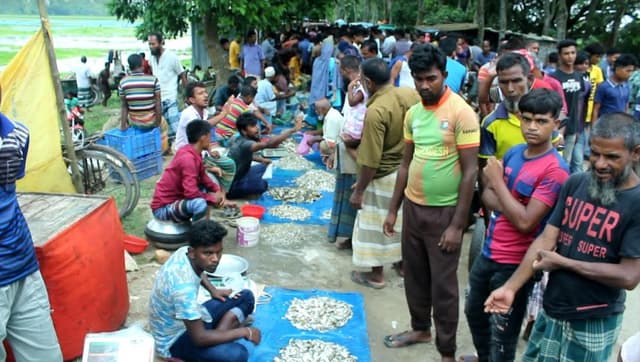 বাঁধে মাছ ধরার উৎসব হাজার মানুষের মেলা