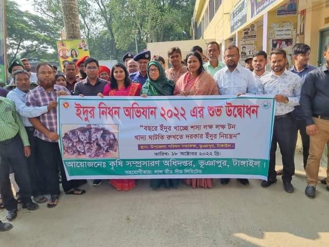 ভূঞাপুরে জাতীয় ইঁদুর নিধন অভিযান উদ্বোধন