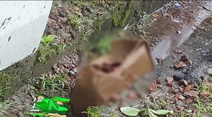 বরিশালে সড়কের পাশে কার্টনে মোড়ানো নবজাতকের মরদেহ