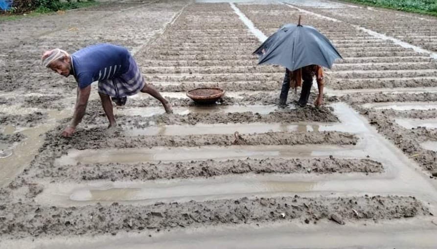 বৃষ্টির পানিতে ডুবে গেছে কৃষকের স্বপ্ন