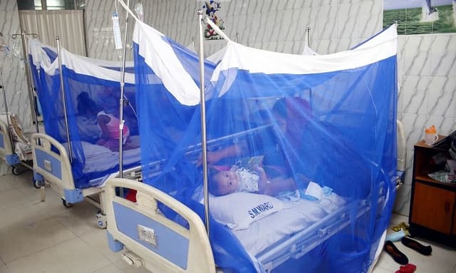 ডেঙ্গু: ২৪ ঘণ্টায় হাসপাতালে ভর্তি ১৭০ জন, মৃত্যু ১