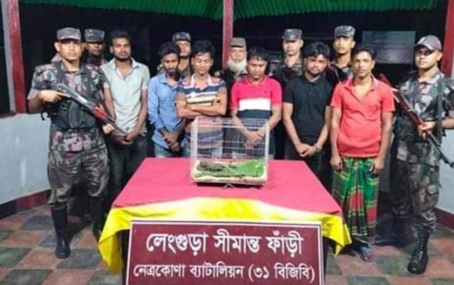 নেত্রকোনার সীমান্তে তক্ষক উদ্ধার, আটক ৬
