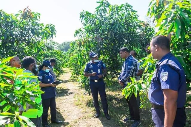 ঠাকুরগাঁওয়ে আমবাগান থেকে ট্রলি চালকের মরদেহ উদ্ধার