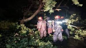 ঘূর্ণিঝড় সিত্রাংয়ের তাণ্ডব, প্রাণ গেল ১০ জনের