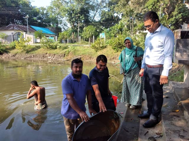 সরাইলে রং মিশ্রিত ২০ কেজি শিং মাছ জব্দ