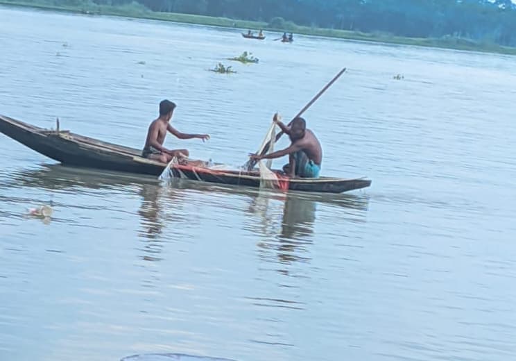 রাজাপুরে নিষেধাজ্ঞা অমান্য করে ইলিশ শিকার: মৎস্য কর্মকর্তাদের কার্যক্রম প্রশ্নবিদ্ধ