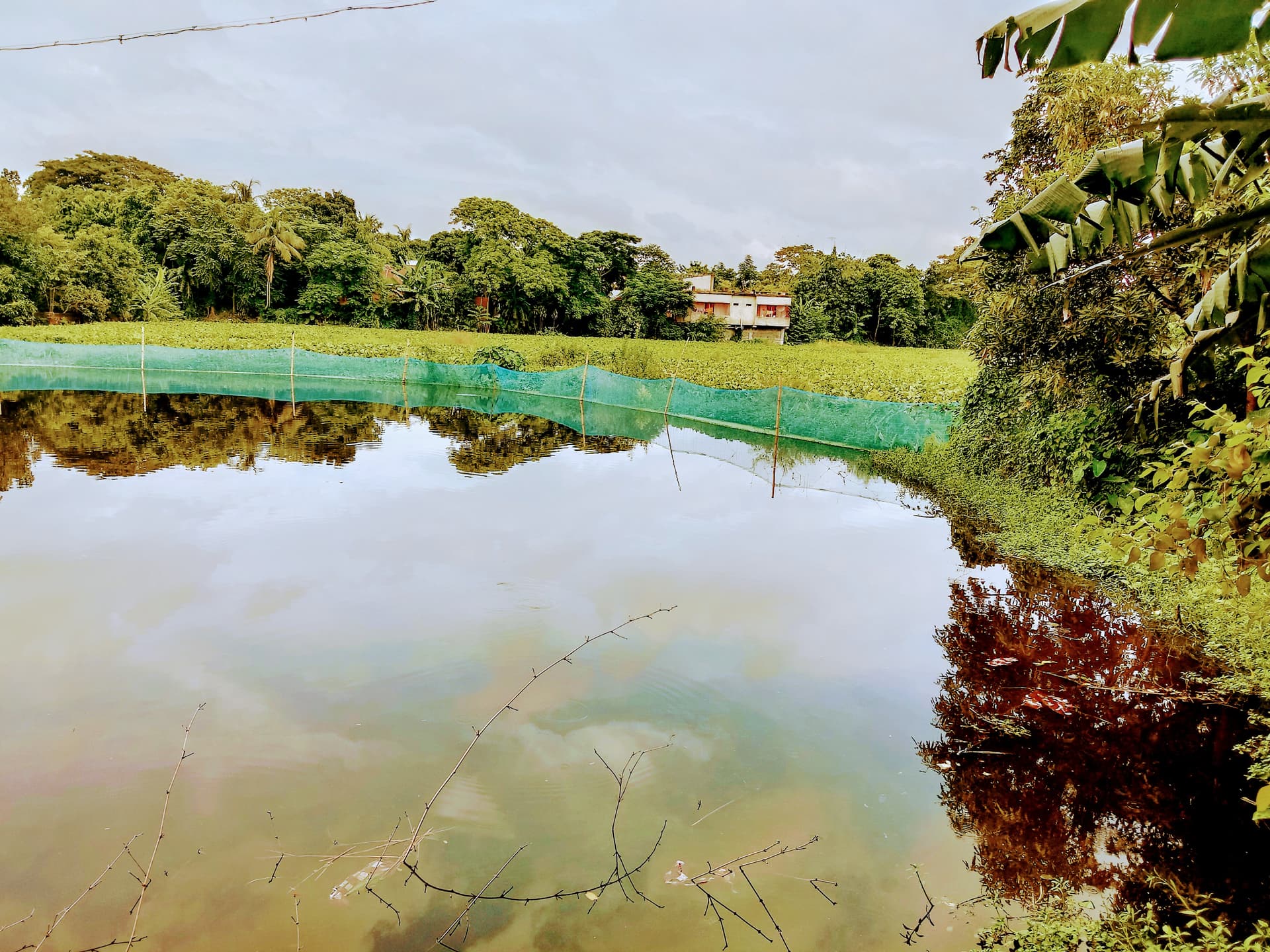 সরাইলে রাতের কুয়াশায় শীতের পদচিহ্ন