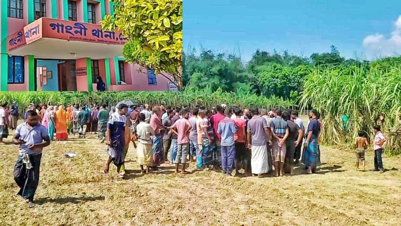 গাংনীর মাঠে কৃষকের মরদেহ উদ্ধার, থানায় হত্যা মামলা