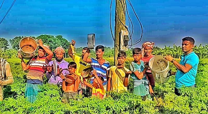 ট্রান্সফর্মার চুরির ঘটনায় বিপাকে কৃষকেরা