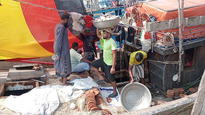 রাতে অবরোধ শেষ, ভোরে ইলিশে সয়লাব বাজার