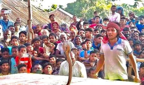 কুষ্টিয়ায় দিনব্যাপি ঐতিহ্যবাহী ঝাপান খেলা