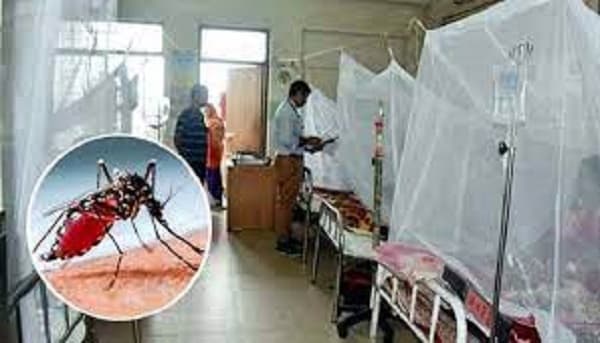 সরকারি হাসপাতালে বিনামূল্যে ডেঙ্গু পরীক্ষার নির্দেশ
