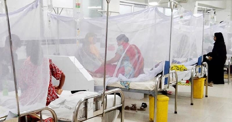 ডেঙ্গুতে আরও ৫ মৃত্যু, হাসপাতালে ভর্তি ৭৮৮
