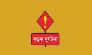 মিনিট্রাক-মোটরসাইকেল মুখোমুখি সংঘর্ষ, দাদা-নাতিসহ নিহত ৩