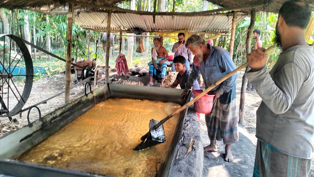 জনপ্রিয় হয়ে উঠছে বরিশালে তৈরি খাঁটি আখের গুড়