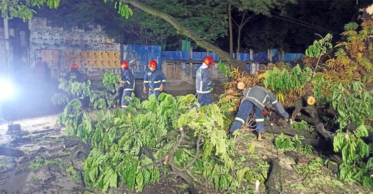 নগর ভবনের সামনে গাছ ভেঙে সড়ক বন্ধ