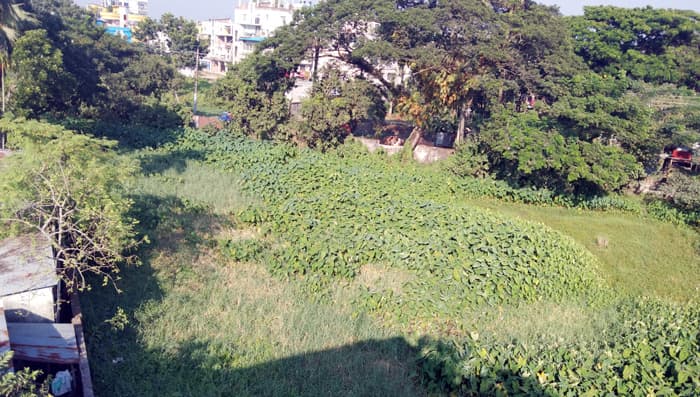 অযত্নে পড়ে আছে বরিশাল কেন্দ্রীয় কারাগারের প্রায় ২ একর সম্পত্তি