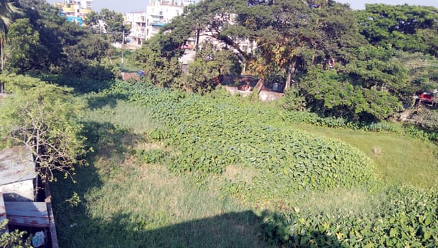 অযত্নে পড়ে আছে বরিশাল কেন্দ্রীয় কারাগারের প্রায় ২ একর সম্পত্তি