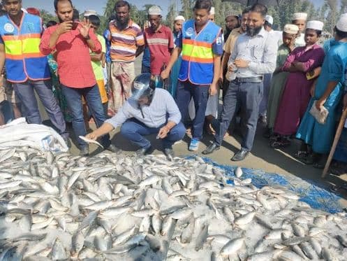 কুয়াকাটায় কারেন্ট জালসহ ৩০ মন ঝাটকা ইলিশ জব্দ