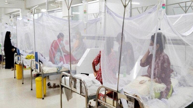 ডেঙ্গুতে আরও ১১ জনের মৃত্যু, ঢাকার ৮