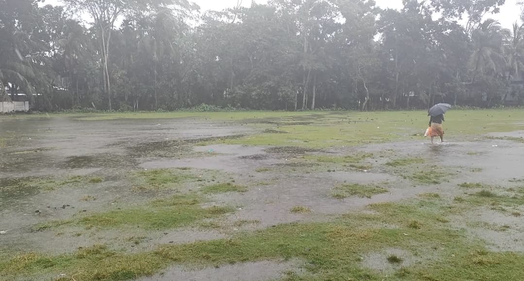 মিধিলির প্রভাবে দমকা হাওয়া ও বৃষ্টিতে কাউখালীতে ফসলের ব্যাপক ক্ষতি