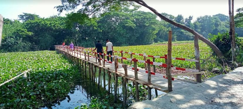 রাঙ্গাবালীতে ২৮০ ফুট দৈর্ঘ্যরে কাঠের সেতু নির্মাণ