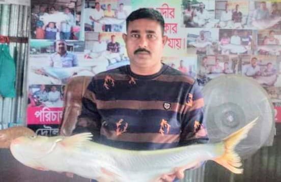 পদ্মায় জেলের জালে বিলুপ্তি প্রজাতির ঢাই মাছ আটক