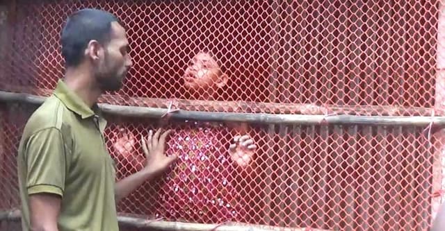 বয়স মাত্র ৯ বছর, খাঁচায় বন্দিই ৬ বছর