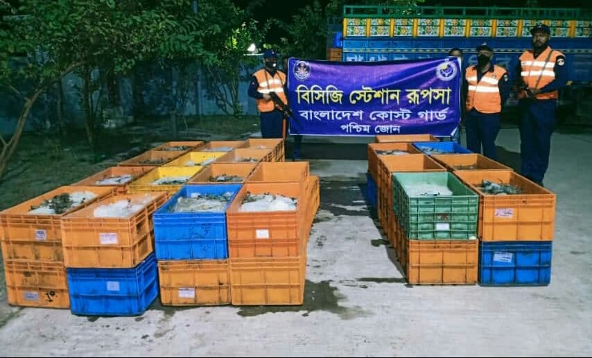 কোস্টগার্ডের অভিযানে ৪৩ মণ পুশচিংড়ি জব্দ, আটক ৯