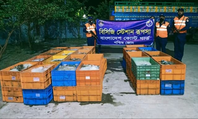 কোস্টগার্ডের অভিযানে ৪৩ মণ পুশচিংড়ি জব্দ, আটক ৯