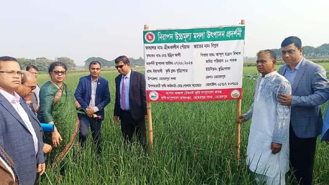 মেহেরপুরে গ্রীষ্মকালীন পেঁয়াজ প্রদর্শনী পরিদর্শনে কৃষি সচিব