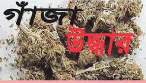 ভূরুঙ্গামারীতে দশ কেজি গাঁজা উদ্ধার