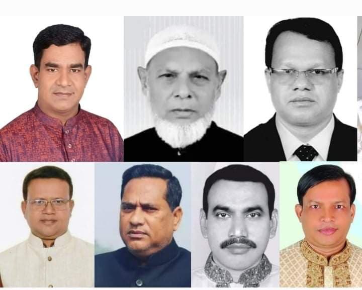 গোসাইরহাটে দলীয় প্রতীক ছাড়া চেয়ারম্যান পদে বিজয়ী হলেন যারা