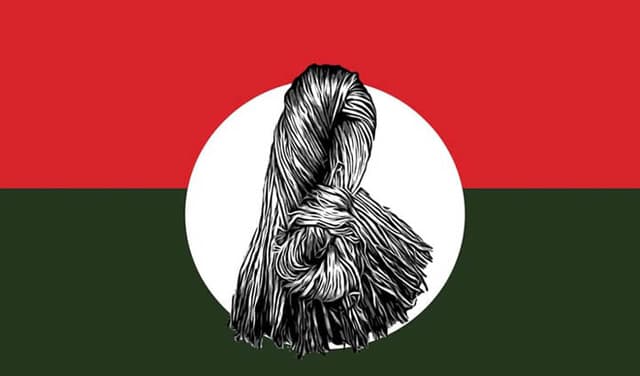 ২৮০ আসনে তৃণমূল বিএনপির প্রার্থী ঘোষণা, মনোনয়ন পেলেন যাঁরা