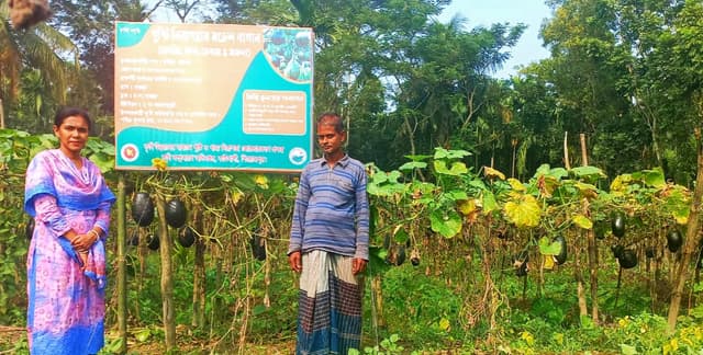 কাউখালীতে সবজি চাষের সাফল্য কৃষি উদ্যোক্তা নাজির হোসেন