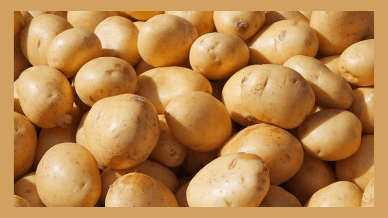 হিলি স্থলবন্দর দিয়ে আলু আমদানি বন্ধ, বাড়ছে পণ্যদাম